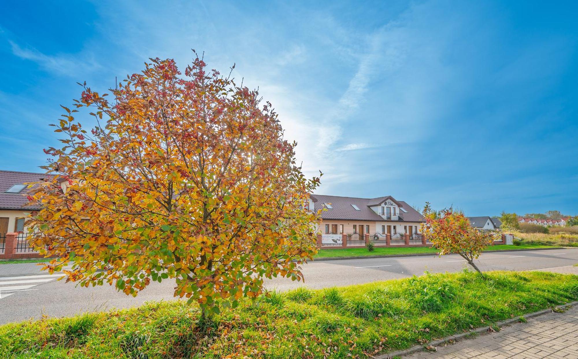 Apartamenty Gaja Darłówko Exterior foto